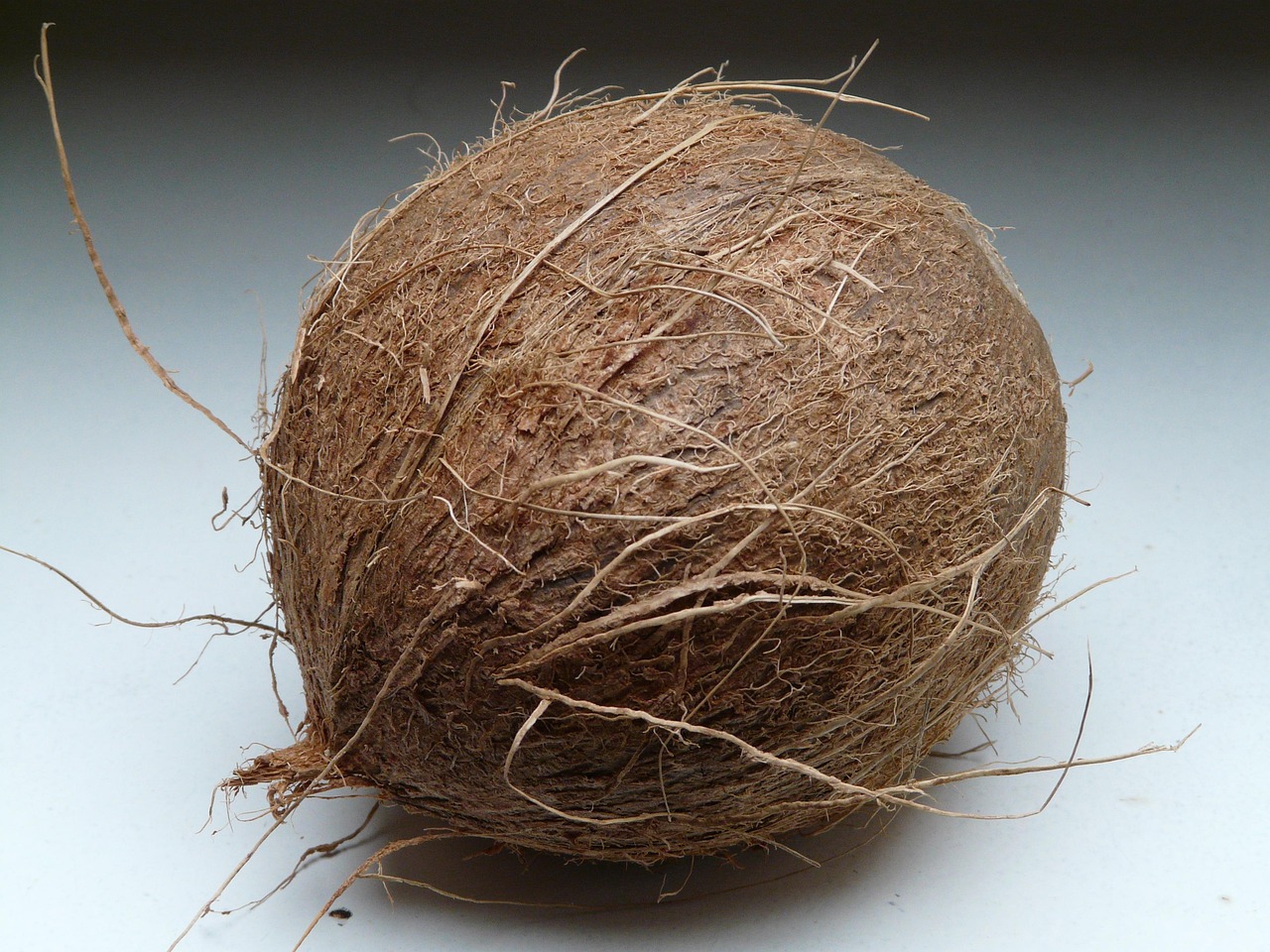 coconut exporter in India